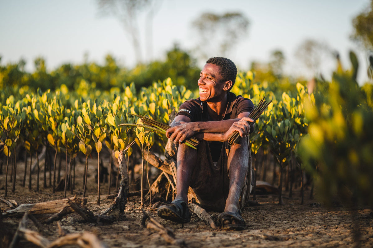 How Your Mangrove Trees Protect Waterways, Save Wildlife, And End Poverty In Madagascar