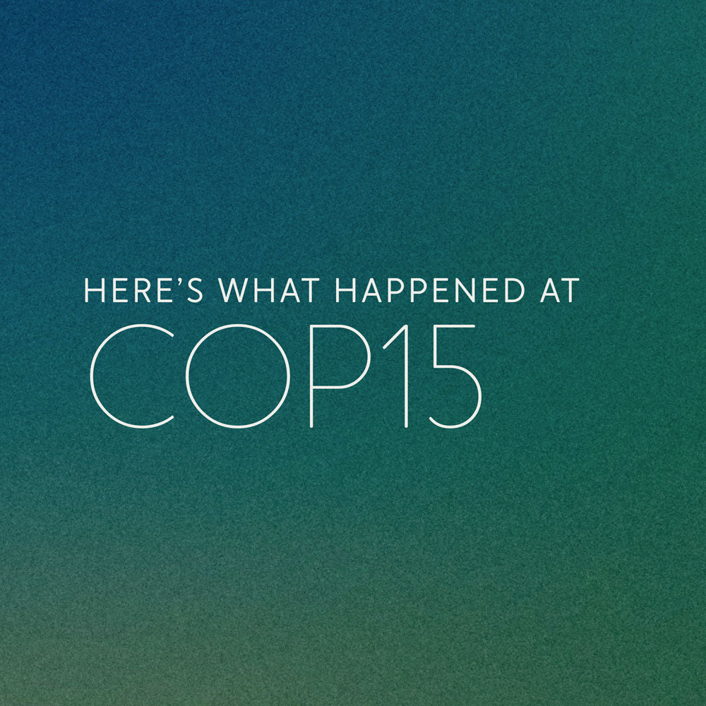 Key Takeaways from COP15