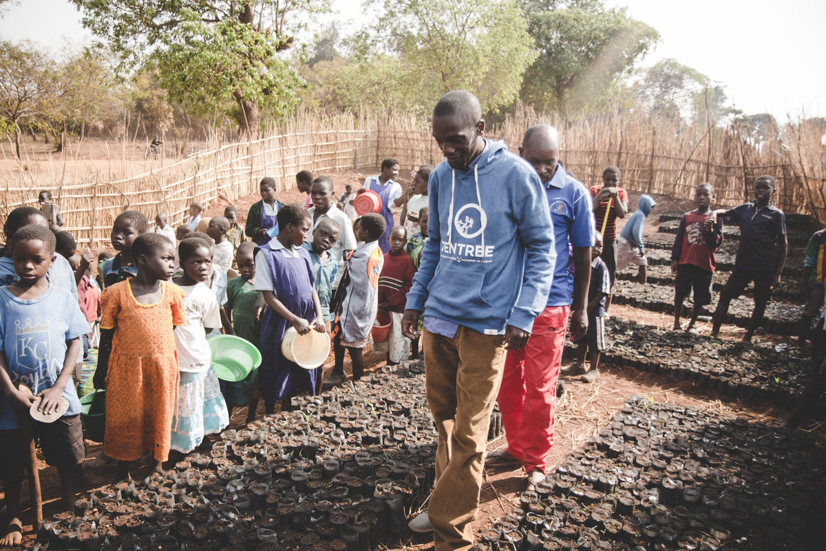 The Benefits Of Planting Trees In Malawi