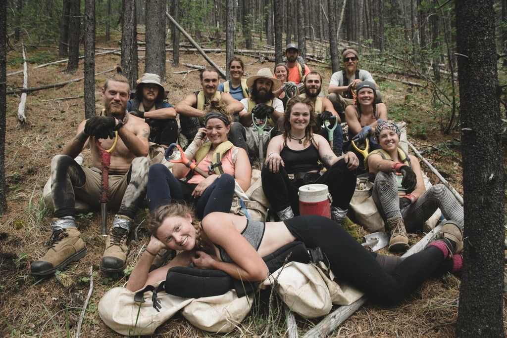 What Is A Tree Planting Program?