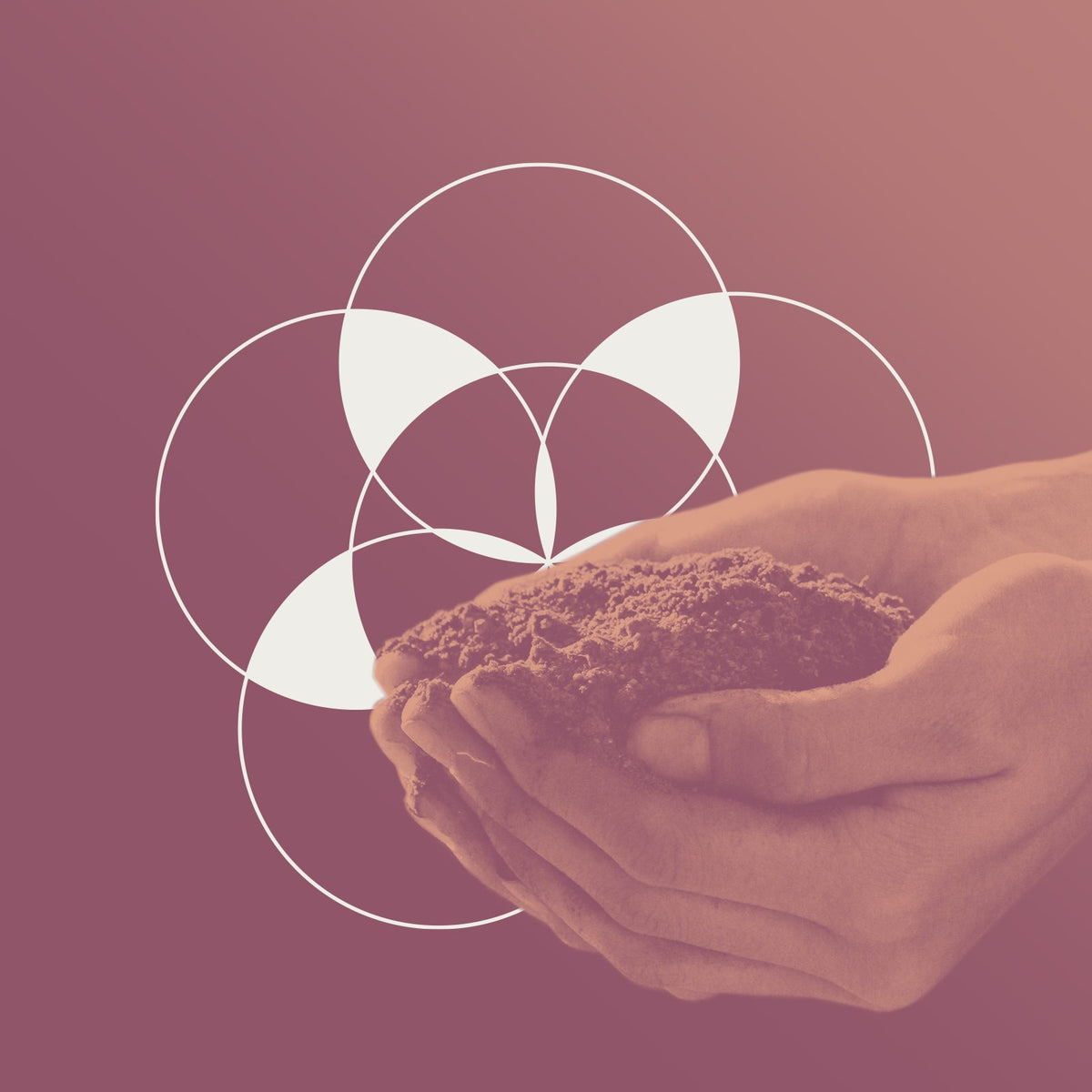 tentree’s Environmental-ish Guide To Composting