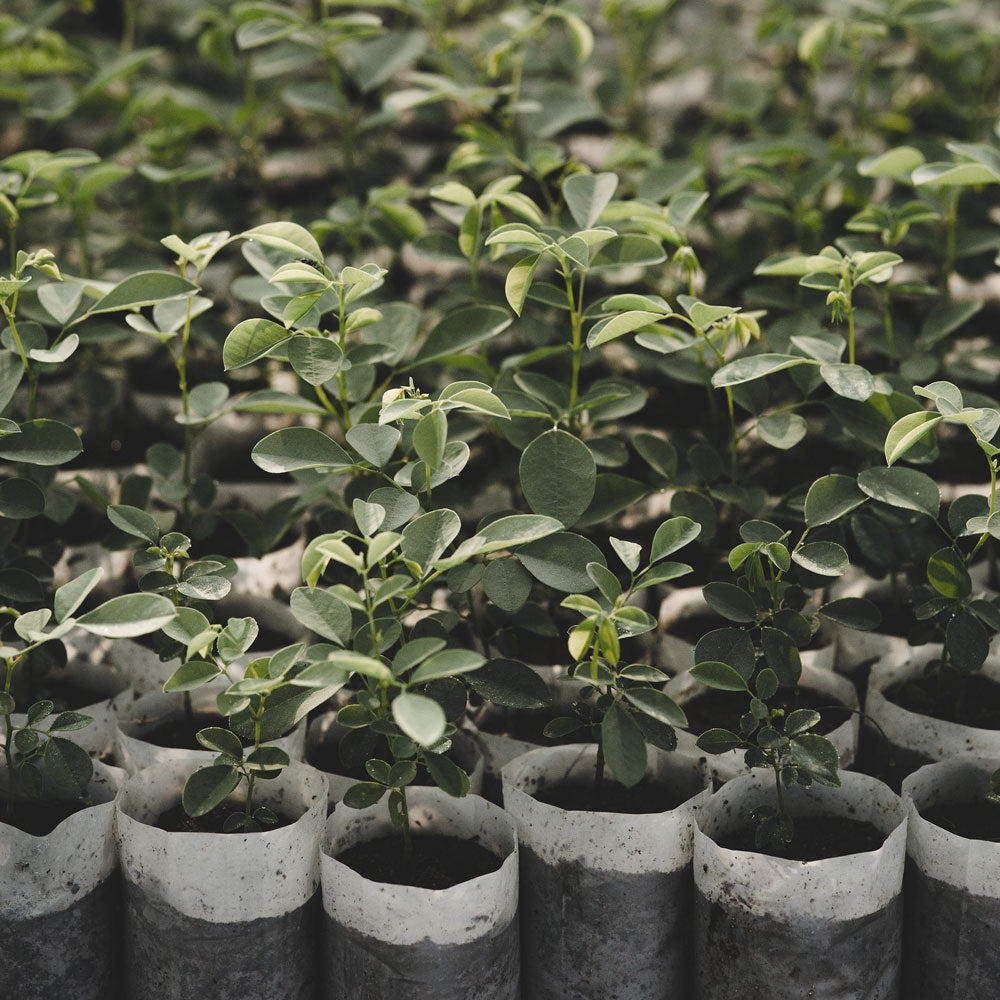 Let’s Get Transparent: Why We Go On Sale