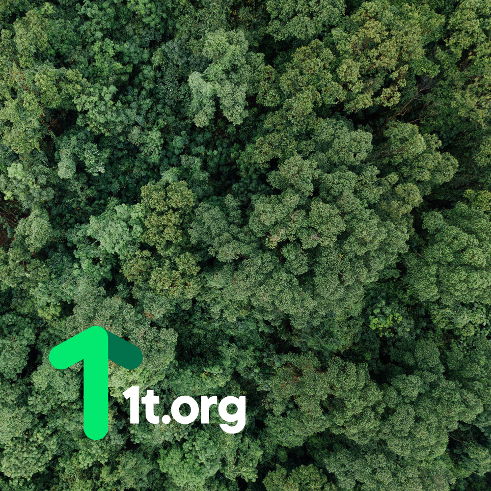 tentree Joins The Trillion Tree Movement