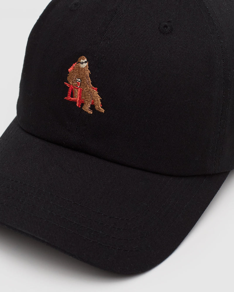 Black-Organic-Cotton-6-Panel-Low-Profile-Hat