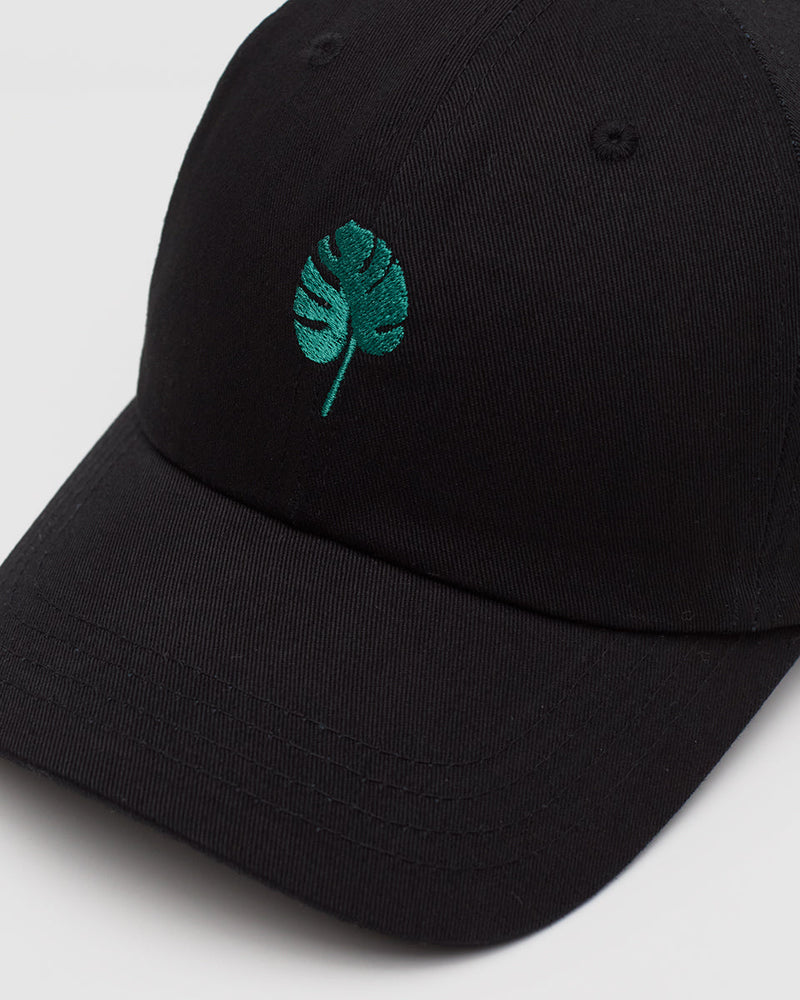 Black-Organic-Cotton-6-Panel-Low-Profile-Hat