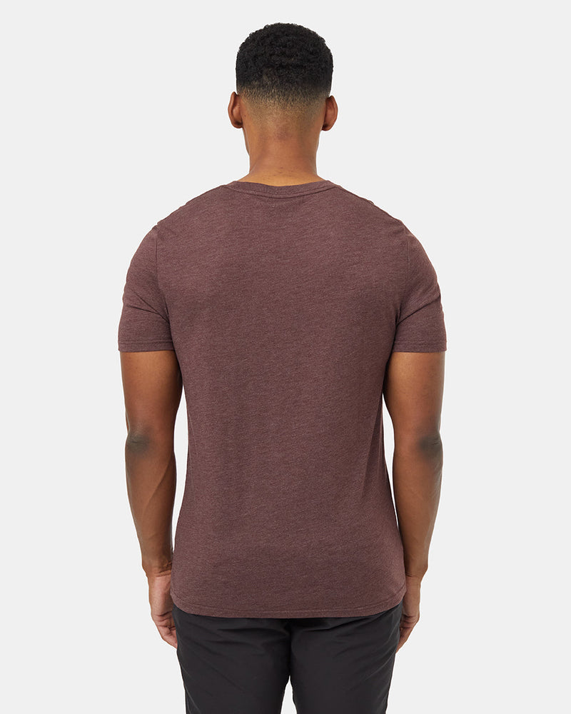 Burgundy-Bear-Graphic-Tee