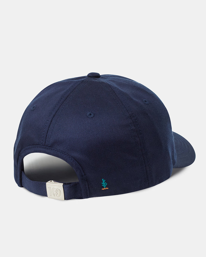 Blue-Adjustable-Eco-Friendly-Baseball-Cap