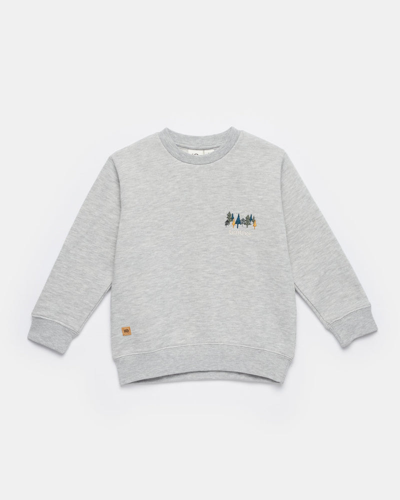 Gray Kids Graphic Crew Neck Sweatshirt