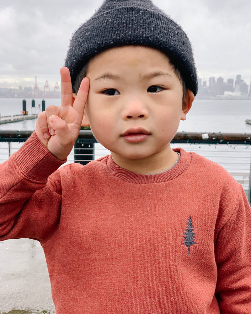 Red,Gray Kids Tree Embrodiery Sweatshirt